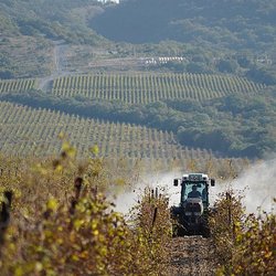 Аграрии Калужской области получили от Россельхозбанка 1,4 млрд рублей