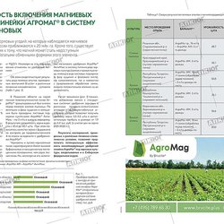 Русское горно-химическое общество, ООО/ РГХО