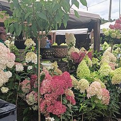 РСХБ представил возможности сервиса "Я в Агро" для калужских агроклассов