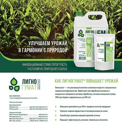 ЛИГНОГУМАТ, ООО