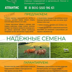 Атлантис, ООО