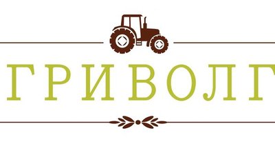 Через два года в Ярославской области заработает новая отечественная фабрика по производству заквасок
