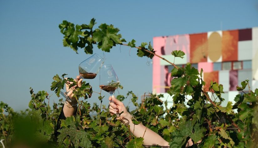 Российские вина на Виноиндустрия 2024: просвещение и знакомство!