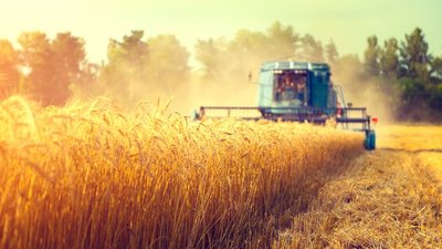 Россельхозбанк продолжает финансирование уборочной кампании  в Архангельской области