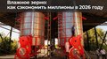 Влажное зерно: какой способ сушки самый выгодный в 2026 году? 6 вариантов с расчётами потерь и прибыли
