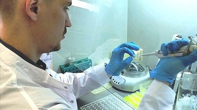 Молодые ученые Донского ГАУ выиграли грант РНФ на исследование генома свиней