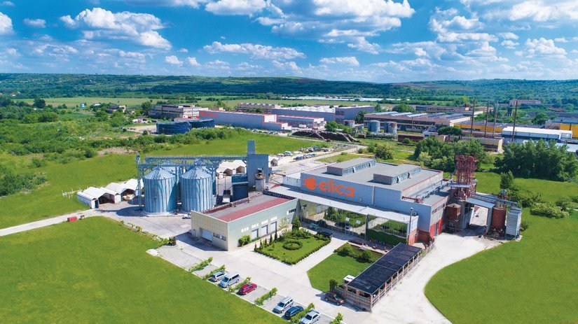 Почему производители выбирают оборудование ELica для переработки семян подсолнечника