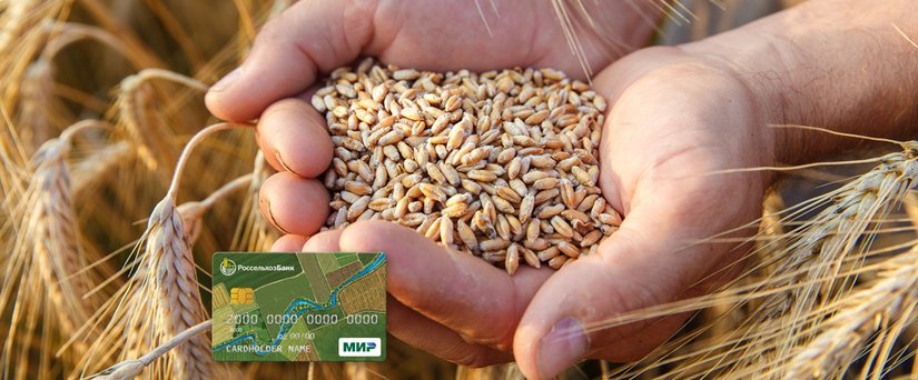 РСХБ: льготное кредитование АПК Бурятии будет наращиваться