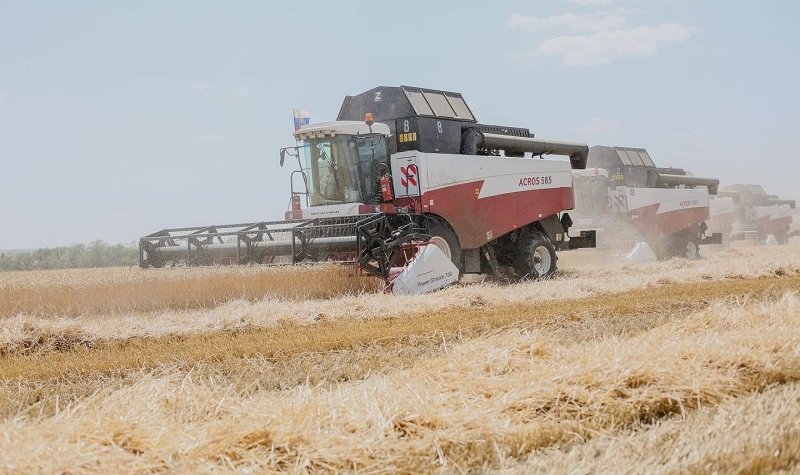 Россельхозбанк увеличил финансирование сельхозпроизводителей Орловщины на 12%