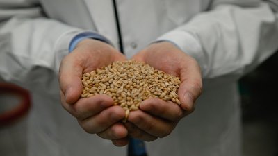 «Балтика» запускает конкурс агроинноваций для молодых ученых