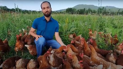 Электропастух, солнечные батареи и пастбище для кур-несушек: как в Адыгее развивается органическая ферма