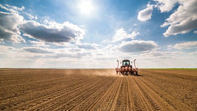 Россельхозбанк наращивает поддержку уборочных работ в Новгородской области
