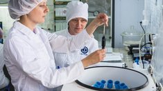 Сертификация органического производства: просто о сложном от ВГНКИ