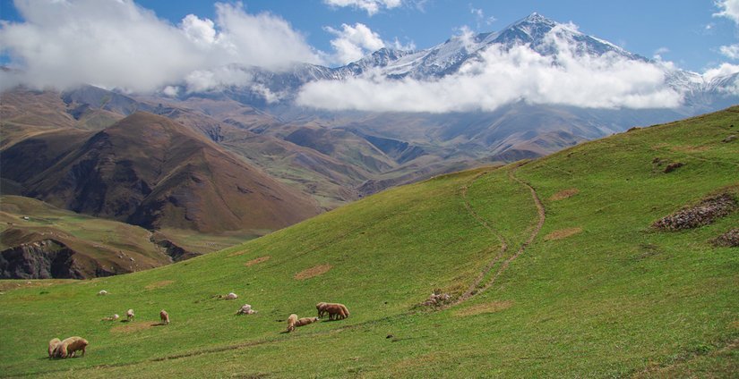 Путешествовать с РСХБ стало выгоднее – кешбэк до 10% за покупку агротура