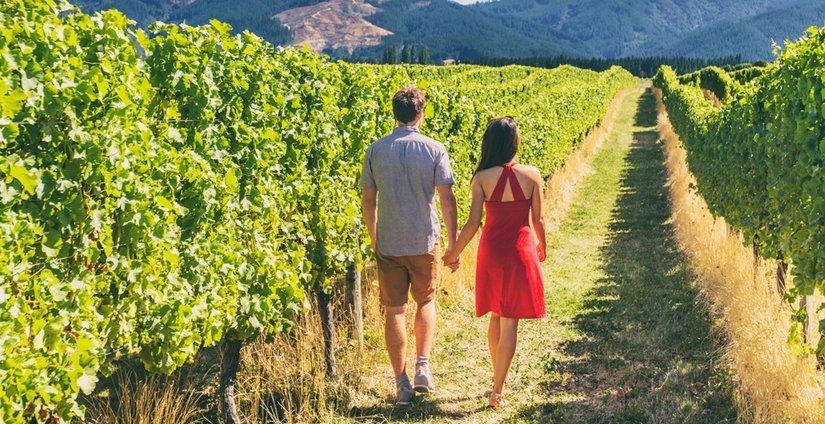 РСХБ - энотуризм станет ключевой точкой роста экономики