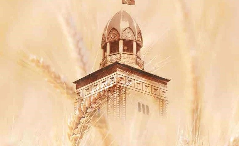 Донской ГАУ расширяет географию: студентами вуза стали представители 30 российских регионов, стран Азии и Африки