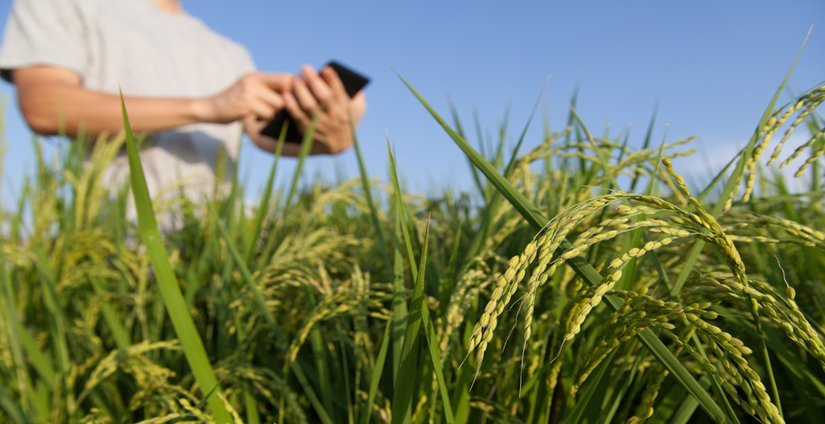 Костромских молодых ученых приглашают принять участие в конкурсе агротехнологий