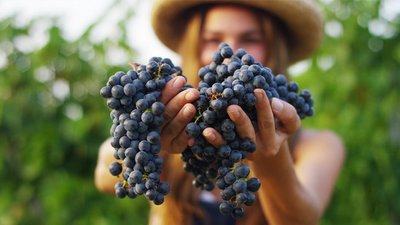 Россельхозбанк запустил продажу туристических маршрутов в отделениях банка