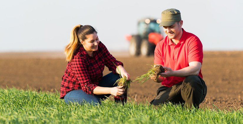 Платформа «Я в Агро» число опубликованных вакансий превысило 20 тыс.