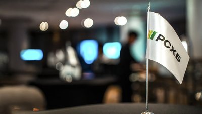 РСХБ прогнозирует увеличение производства птицы в 2025 году