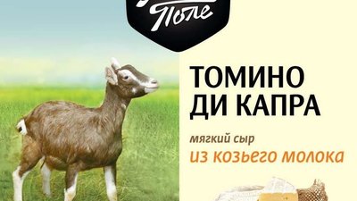 Сельскохозяйственный холдинг «АгриВолга» начинает выпуск сыра Томино ди Капра из козьего молока