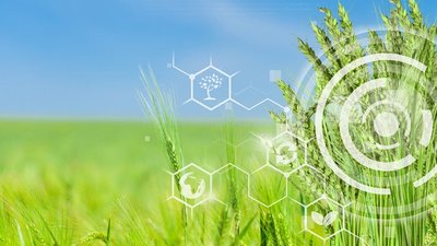 РСХБ обучит студентов продвигать фермерскую продукцию с помощью нейросетей