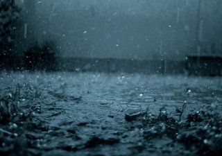 В Челябинской области от долговременных дождей пострадал почти 1 млн га посевов