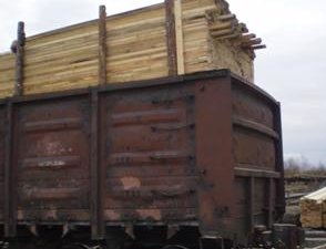 Лесопродукция из Красноярского края прошла фитосанитарный контроль