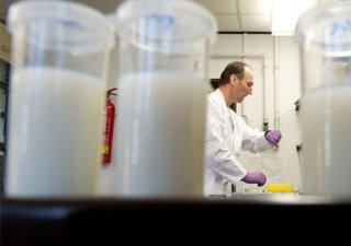 Более 870 т молочной продукции из Новой Зеландии могут быть заражены возбудителем ботулизма