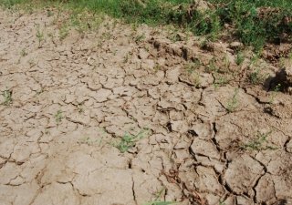 Застрахована половина запланированных площадей