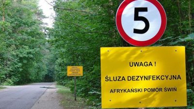 Европейская комиссия обвиняет Польшу в отсутствии планов по борьбе с АЧС