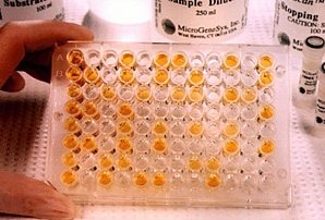О результатах деятельности лаборатории химического анализа Испытательного центра ФГБУ «ВНИИЗЖ»  за период с 20 по 29 октября 2015