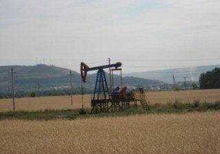 Россия заменит дешевеющую нефть дорогим зерном