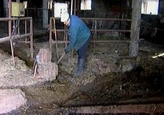 Неподведенные итоги