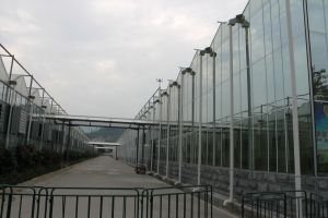 Тепличные комплексы под стекло