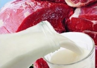 В Самарской области нарастили производство мяса и молока