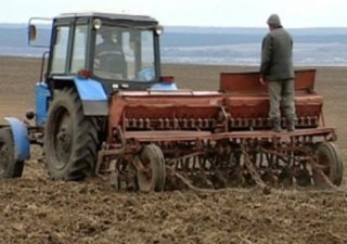 Под яровой сев в Костромской области в этом году отведено 66 тыс.га