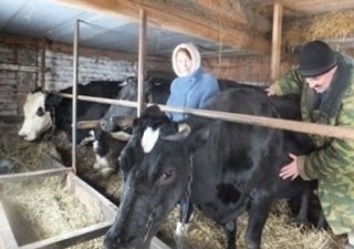 Липецкий Минсельхоз собрал бизнес-проекты фермеров