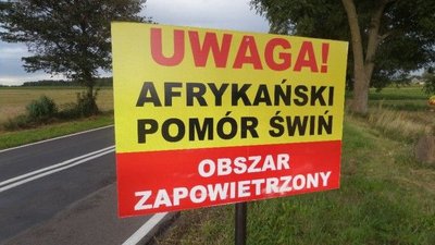 США грозят остановить импорт польской свинины из-за АЧС