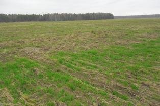 Государственный мониторинг земель сельскохозяйственного назначения
