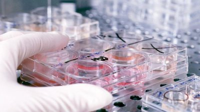Об участии специалиста ФГБУ «ВНИИКР» в совещании группы экспертов по диагностике и обеспечению качества ЕОКЗР (13-15 ноября 2013 г., Париж)