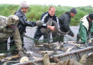 Вылов рыбы - под контроль двух государств