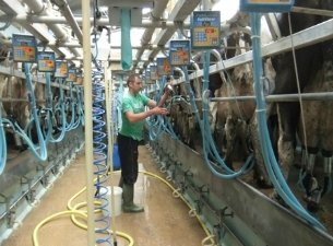 Семейные фермы Калужской области станут высокотехнологичными