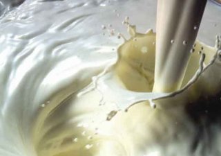 Молочный союз провел совещание сыроделов