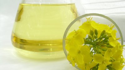 Масло рапсовое: польза и вред