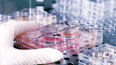 О проведении ряда исследований референтной лабораторией по особо опасным болезням ФГБУ «ВНИИЗЖ»
