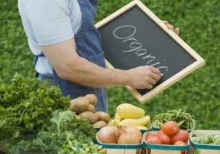 Как Россия теряет рынок органической сельхозпродукции