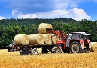 В Татарстане заготовлено более 125 тыс. тонн кормов