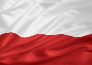 Польша призвала ЕС выступить в защиту экспорта свинины в Россию