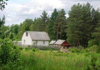 Российские садоводы могут потерять участки